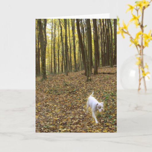 Carte Libre à exécuter (Fleur jaune)