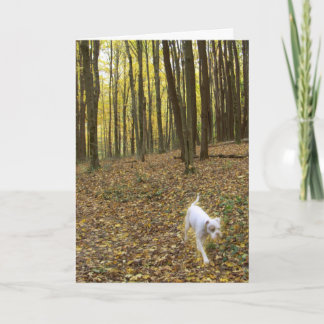 Carte Libre à exécuter