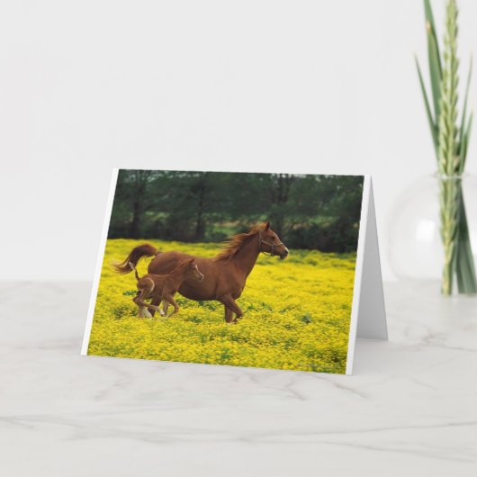 Carte Libre courant (Devant)