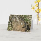 Carte Lièvre (Fleur jaune)