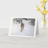 Carte Lièvre d'hiver (lapin), Bruno Liljefors (Fleur jaune)