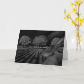 Carte Lièvres la nuit (Fleur jaune)