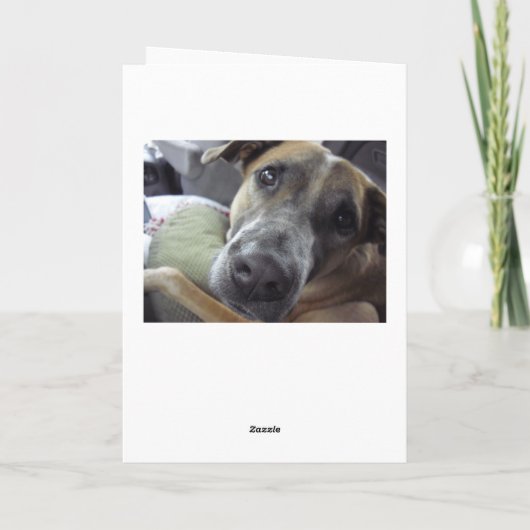 Carte Life est ruff. (Dos)