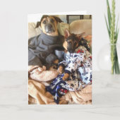 Carte Life est ruff. (Devant)