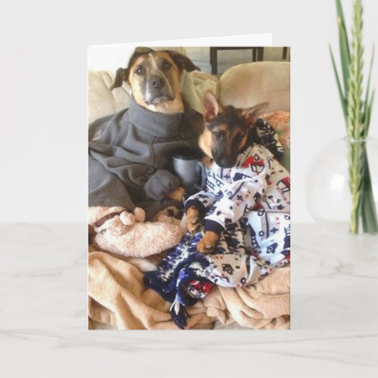 Carte Life est ruff. (Devant)