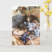 Carte Life est ruff. (Fleur jaune)