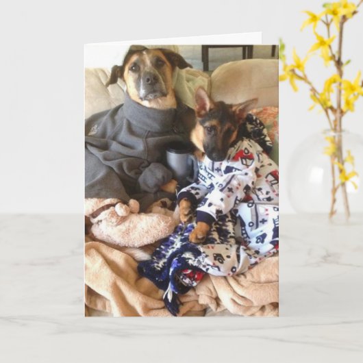 Carte Life est ruff. (Fleur jaune)