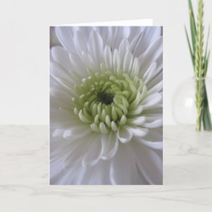 Carte Life in Bloom (2)