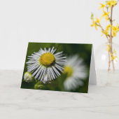 Carte Li'l Daisies (Fleur jaune)