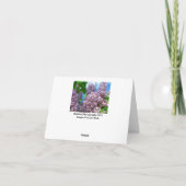 Carte Lilac 1 (Dos)
