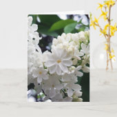 Carte Lilac blanc vierge (Fleur jaune)