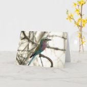 Carte Lilac Breasted Roller (Fleur jaune)