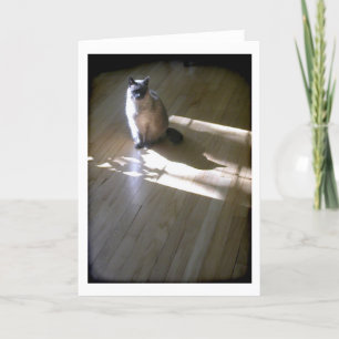 Carte Lilac pointa le chat siamois au soleil