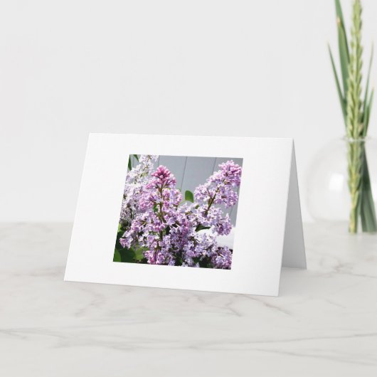 Carte Lilacs (Devant)