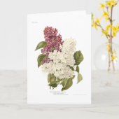 Carte Lilas (Fleur jaune)