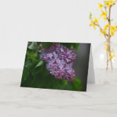 Carte Lilas (Fleur jaune)