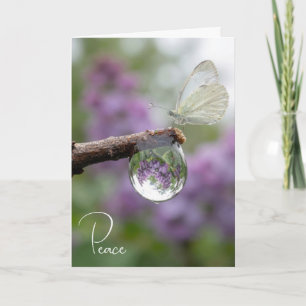 Carte Lilas de sympathie se reflétant dans une goutte de
