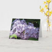 Carte Lilas en pleine floraison (Fleur jaune)