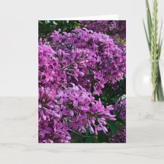 Carte lilas rose violet | photo florale rose romantique (Devant)