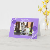Carte Lilas se reposant de pourpre de photo de chat de (Fleur jaune)