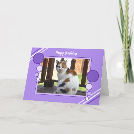 Carte Lilas se reposant de pourpre de photo de chat de (Devant)
