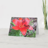 Carte Lilie rouge 1 (Dos)