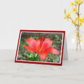 Carte Lilie rouge 1 (Fleur jaune)