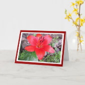 Carte Lilie rouge 2 (Fleur jaune)