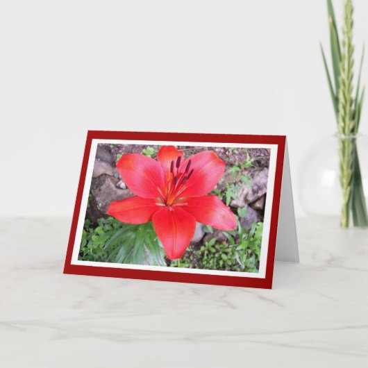 Carte Lilie rouge 2 (Devant)