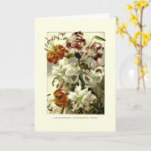 Carte Lilies (Fleur jaune)