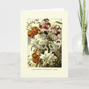 Carte Lilies