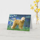 Carte Lilies 5 - Wheaten Terrier (debout) (Fleur jaune)
