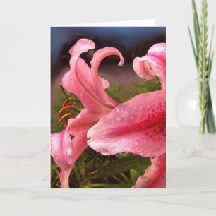 Carte Lilies après la pluie