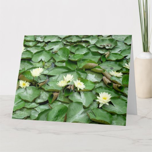 Carte Lillies d'eau (Devant)