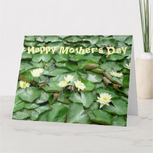 Carte Lillies d'eau
