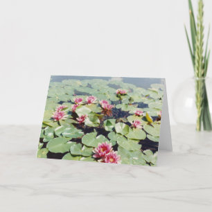 Carte Lillies d'eau 01