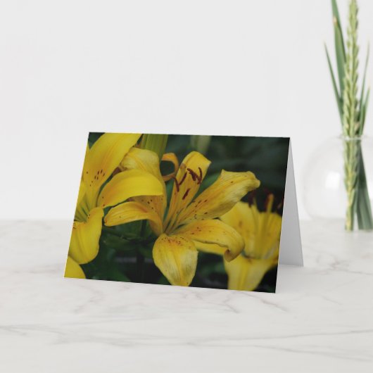 Carte Lilly (Devant)