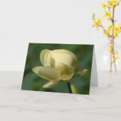 Carte Lilly Lotus (Fleur jaune)
