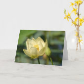 Carte Lilly Lotus (Fleur jaune)