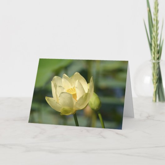 Carte Lilly Lotus (Devant)