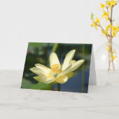 Carte Lilly Lotus (Fleur jaune)