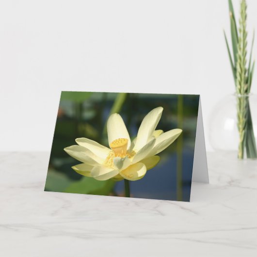 Carte Lilly Lotus (Devant)