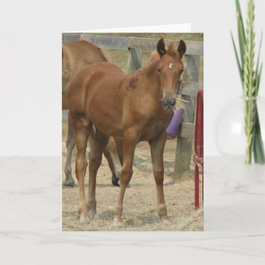 Carte Lil'one (Devant)