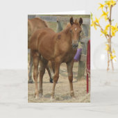 Carte Lil'one (Fleur jaune)