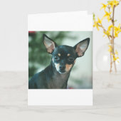 Carte Lily (Fleur jaune)