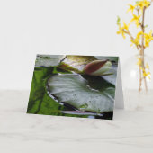 Carte Lily About to Bloom Greeting Card (Fleur jaune)