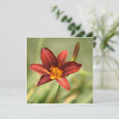 Carte Lily africaine (Debout devant)