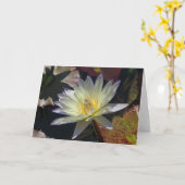 Carte Lily d'eau de la Saint-Jean (Fleur jaune)