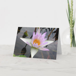 Carte Lily d'eau violette claire