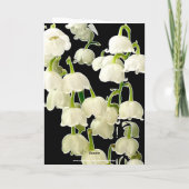 CARTE LILY FLOWERS PHOTO BIRTHDAY CARD (Dos)